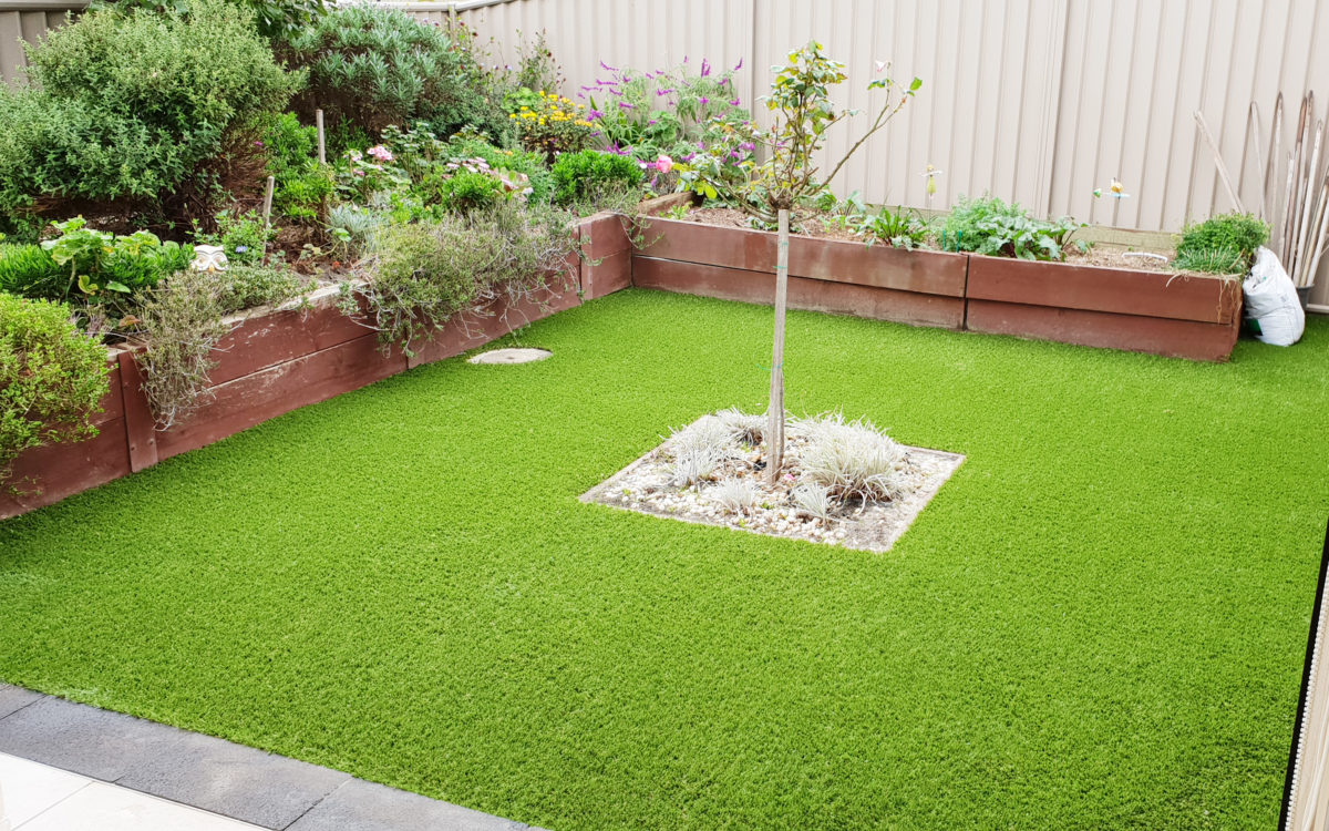 Geelong Artificial Lawn10