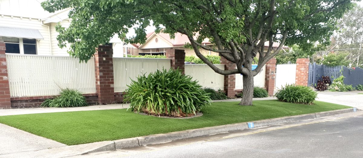 Turf Geelong1
