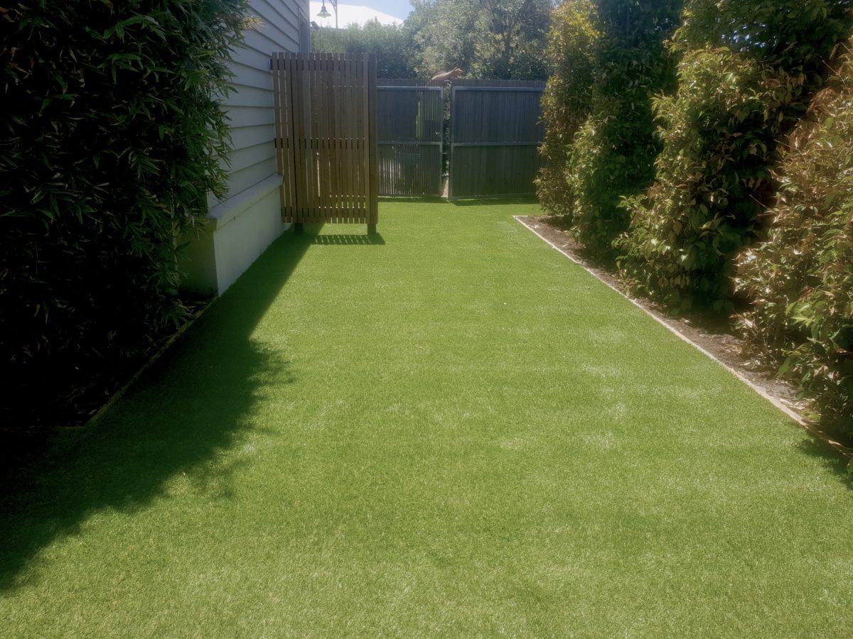 03 Synthetic Lawn Backyard