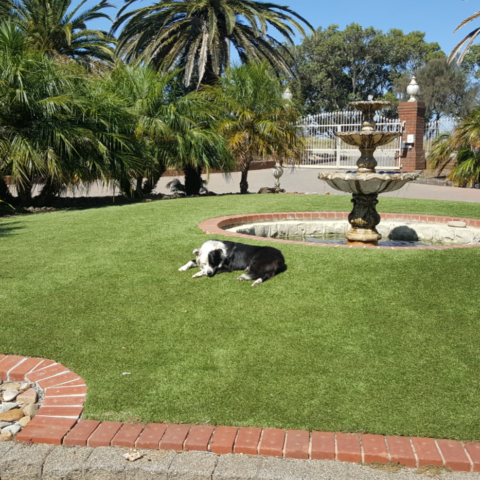 Synthetic Turf Leopold